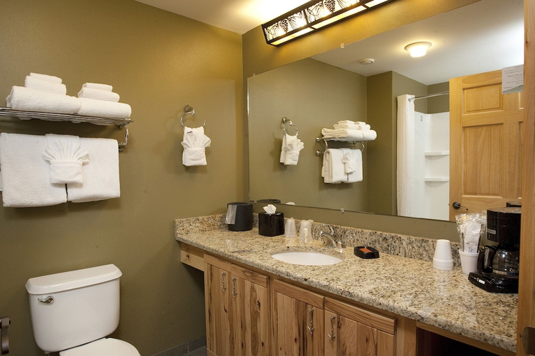 Bathroom 3, Hope Lake Lodge & Indoor Waterpark, Cortland