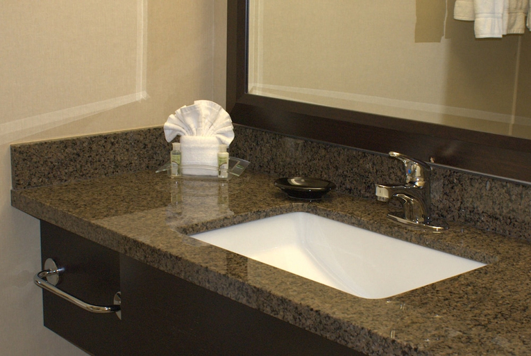 Bathroom 5, Grand Royal Hotel O'Hare - Chicago, Cook