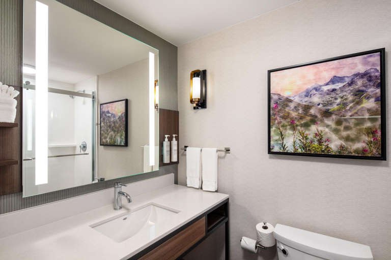 Bathroom 4, Hilton Garden Inn Kalispell, Flathead