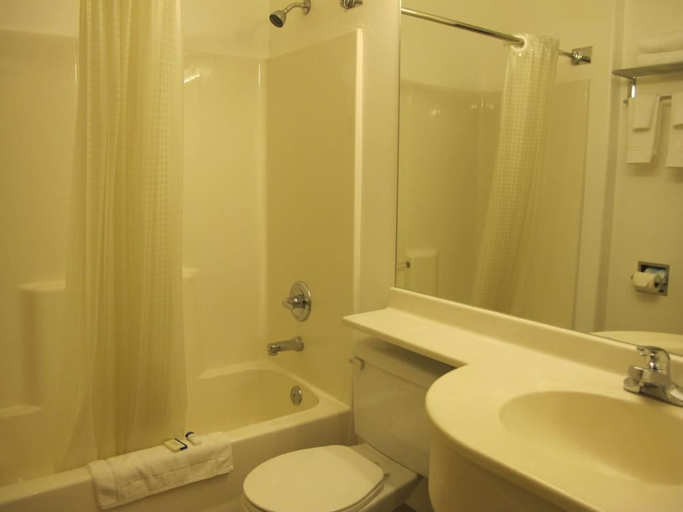 Bathroom 4, Microtel Inn & Suites by Wyndham Eagle River/Anchorage Area, Anchorage