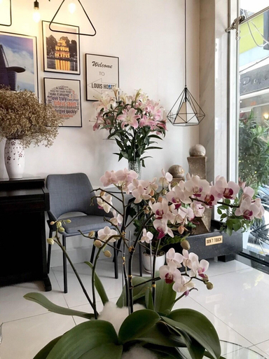 Public Area 4, Louis Hotel - Bui Vien Walking Street, District 1