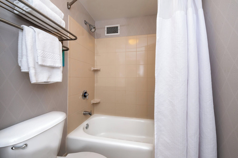 Bathroom 3, Springhill Suites by Marriott Pittsburgh North Shore, Allegheny