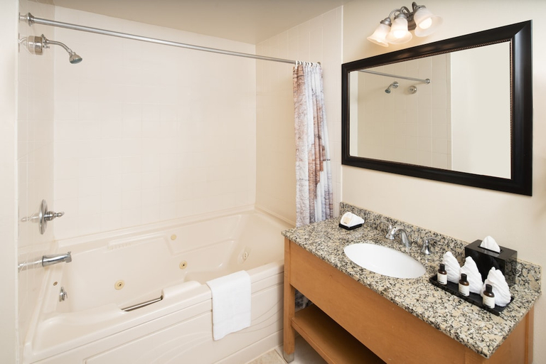 Bathroom, Timber Ridge Lodge and Waterpark, Walworth