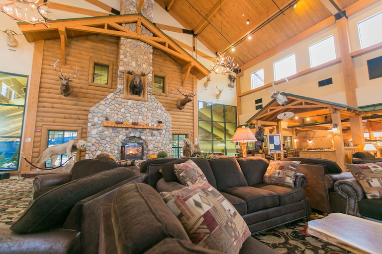 Public Area 2, Tundra Lodge, Brown