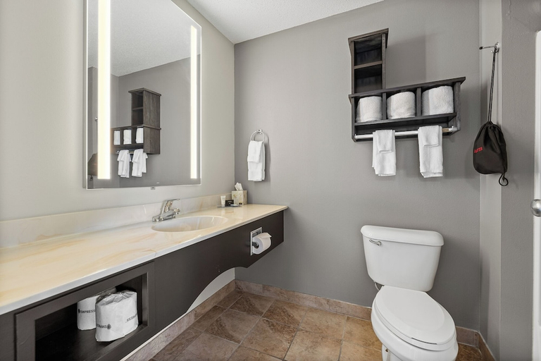 Bathroom 5, GrandStay Residential Suites - Rapid City, Pennington