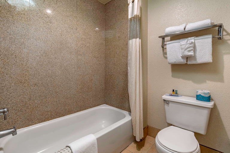 Bathroom 4, Best Western Orchard Inn, Stanislaus