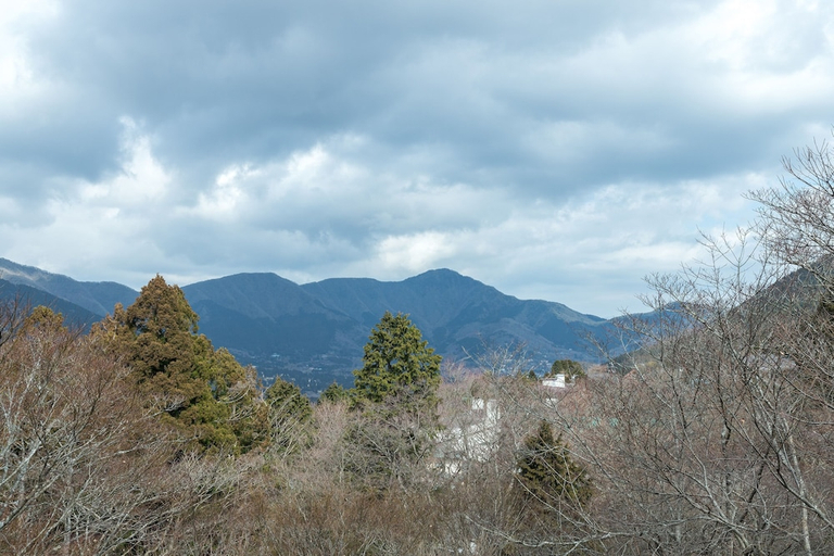 Others 5, Chojuyu Hakone, Hakone