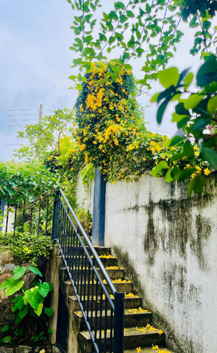 Others 5, Sandalwood Green Villa Kandy, Kundasale