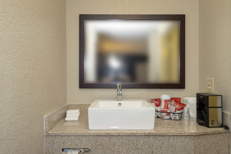 Bathroom 5, Red Roof Inn PLUS+ St Augustine, Saint Johns