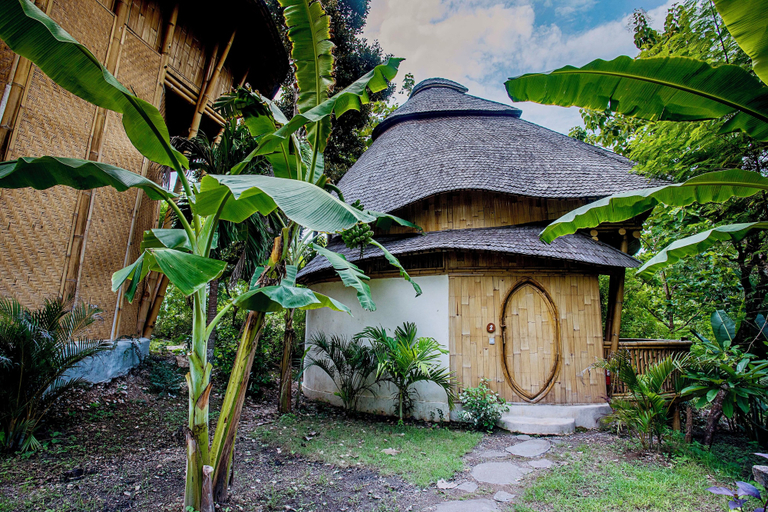 Garden view 5, Les terrasses ceningan, Klungkung