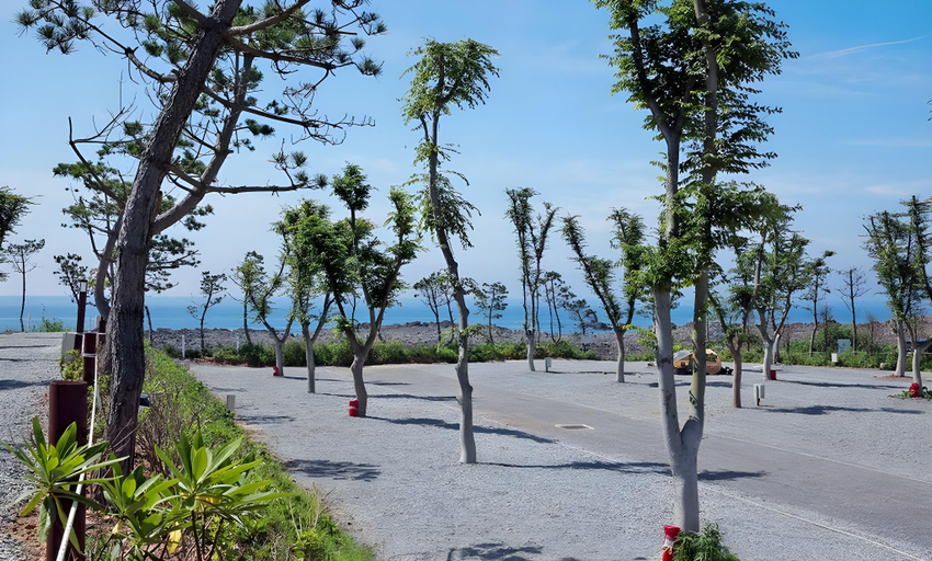 Others 4, Padowa Noeul Camping, Taean