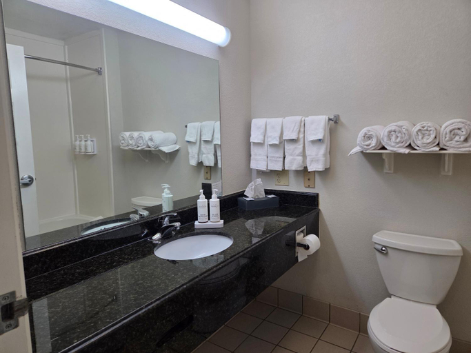 Bathroom 3, Stay Well Inn & Suites, Lee