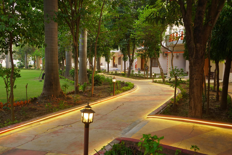 Public Area 3, Hotel Shree Krishna Jungle Resort, Chhatarpur