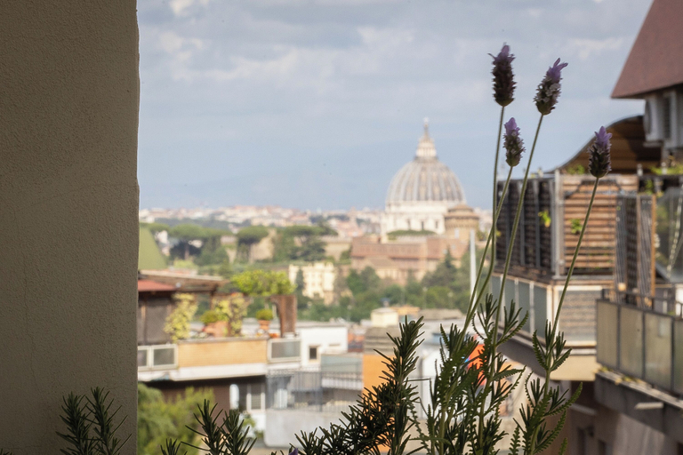 Aerial view 5, Rental in Rome Saint Peter View Penthouse, Roma