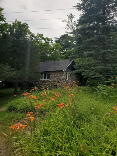 Primary image