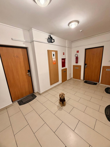 Others 5, Prater Residence                                                                , Budapesti