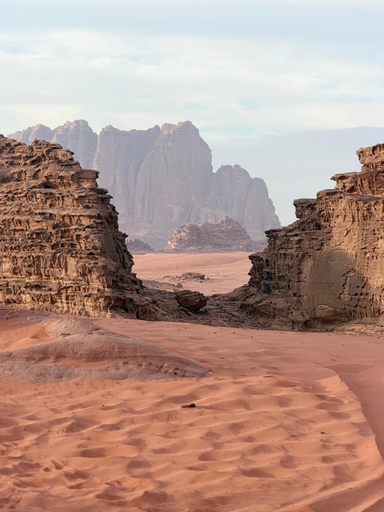 Others 5, Wadi Rum Alarb Quiet Camp, Quaira