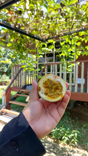 Food & Drinks 5, D'Rumah Bonda River View, Kuala Kangsar