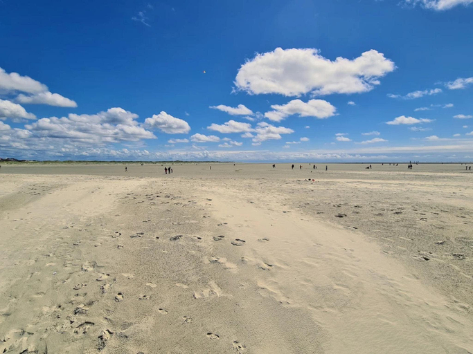 Others 5, Ferienwohnung in St.Peter Ording, Nordfriesland
