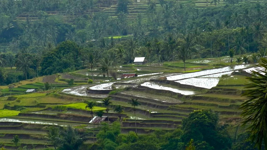 Others 5, Pondok Senaru Lombok, Lombok