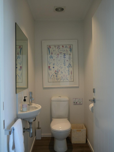 Bathroom, Queenie's Lakeview Star - Alpine Range & Farm View, Mackenzie