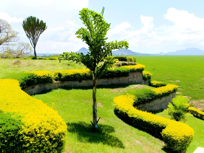 Others 5, The Golden Rays Resort, Homa Bay Town