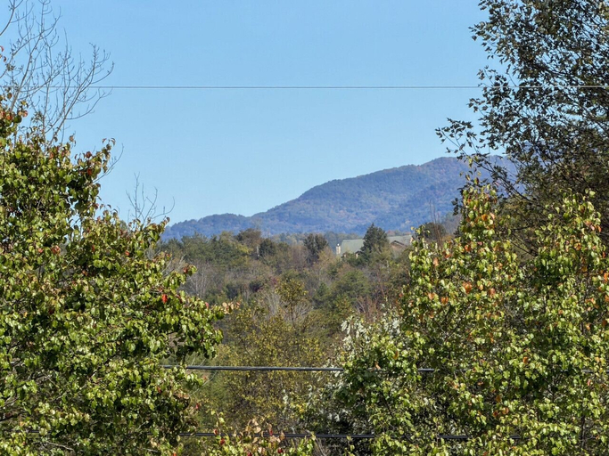 Miscellaneous 4, Boujee Bear- Modernized Cabin Minutes to Dollywood, Sevier