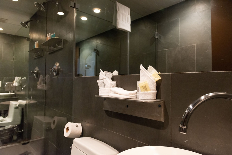 Bathroom 4, Hotel Chelsea, Miami-Dade