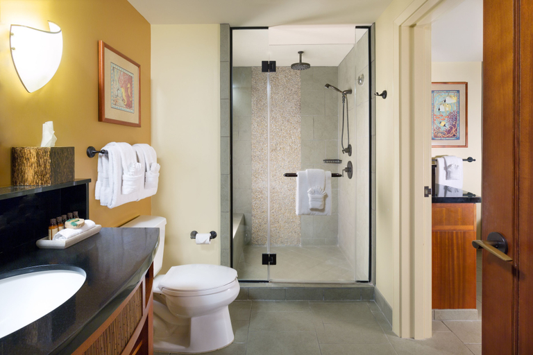 Bathroom 5, Aulani, Disney Vacation Club Villas, Honolulu