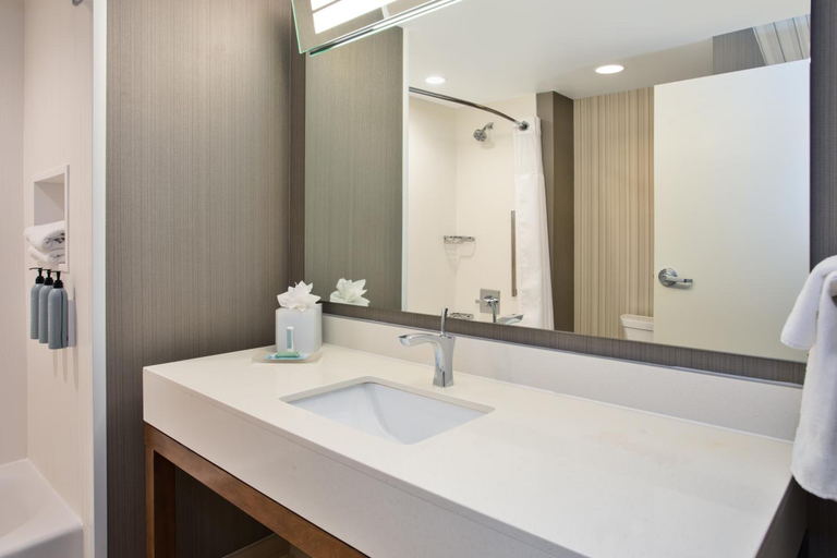 Bathroom 4, Courtyard by Marriott Dallas Flower Mound, Denton