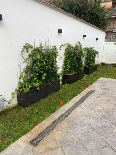 Property grounds 3, GREY HOUSE SRLS, Latina