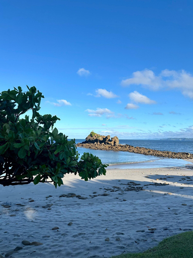 Beach, Esencia de Miel Villas & Boutique Safari, La Cruz