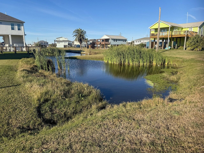 Property grounds 4, Boujee Beach, Galveston