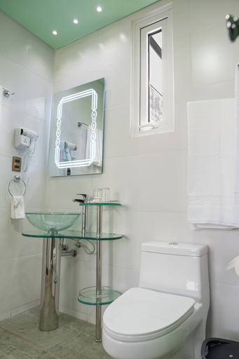 Bathroom 4, Illampu Art Boutique Hotel, Pedro Domingo Murillo