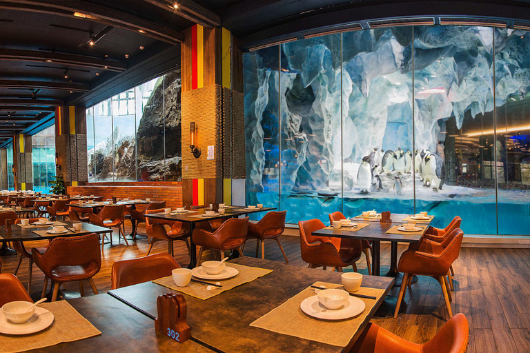 Food & Drinks 5, Chimelong Penguin Hotel, Zhuhai