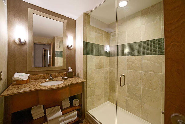 Bathroom 4, Riverwalk Casino Hotel, Warren