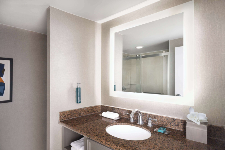 Bathroom 4, DoubleTree by Hilton Austin, Travis