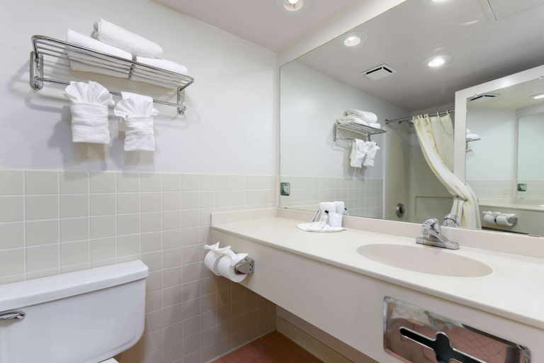 Bathroom 4, Island Inn, Mohave