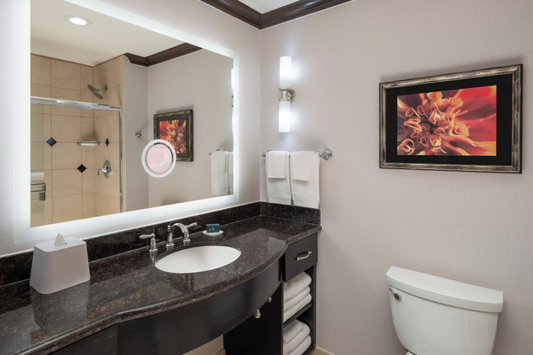 Bathroom 5, Hilton Dallas/Rockwall Lakefront, Rockwall