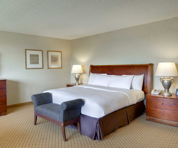 Bedroom 4, DoubleTree by Hilton Washington Dulles Airport, Fairfax