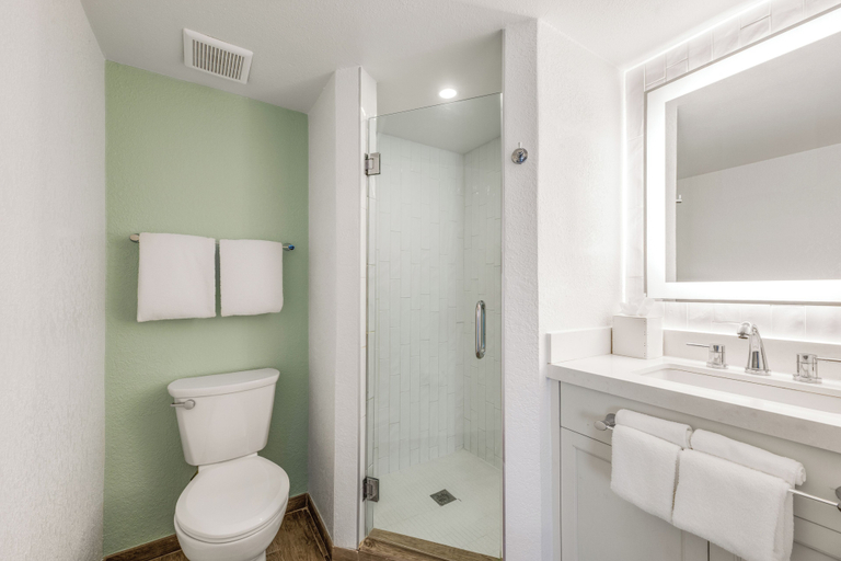 Bathroom 4, Beach House Suites by the Don CeSar, Pinellas