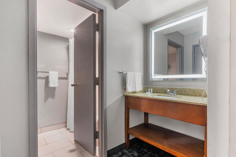 Bathroom, Comfort Inn & Suites Madison - Airport, Dane