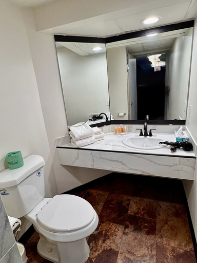 Bathroom 5, Don Q Inn, Iowa