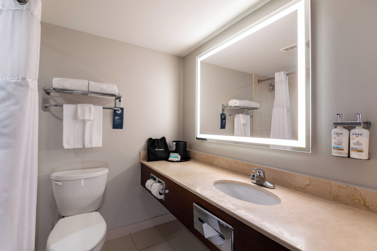 Bathroom 3, Holiday Inn Hotel & Suites London by IHG, Middlesex