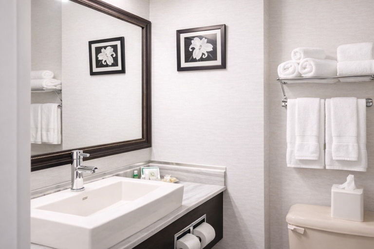 Bathroom 4, Quality Inn & Suites Gatineau, Communauté-Urbaine-de-l'Outaouais