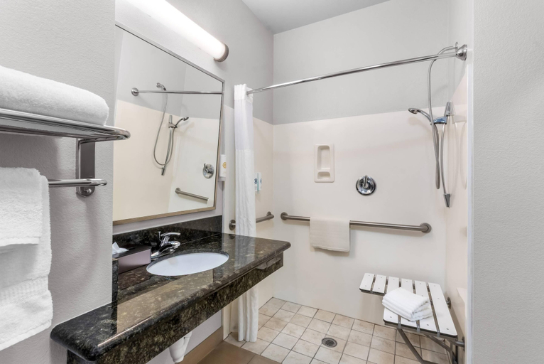 Bathroom 4, Comfort Inn & Suites Thatcher - Safford, Graham