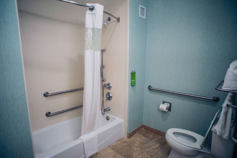 Bathroom 4, Hampton Inn Monticello, Drew