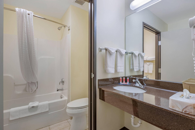 Bathroom 4, Econo Lodge Inn & Suites Des Moines Fairgrounds Area, Polk