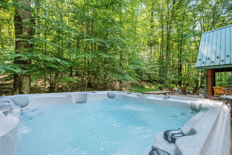 Sport & Beauty 5, Bears Lair by Taylor Made Deep Creek, Garrett
