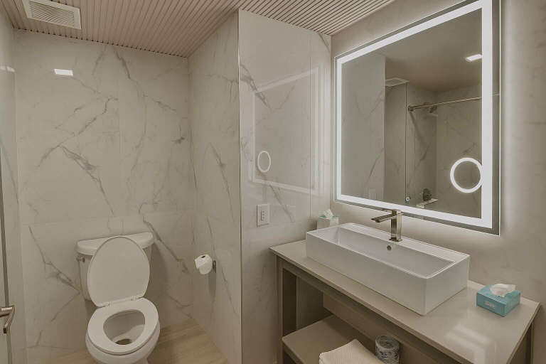 Bathroom 4, Tropical Palms Hotel, Pinellas